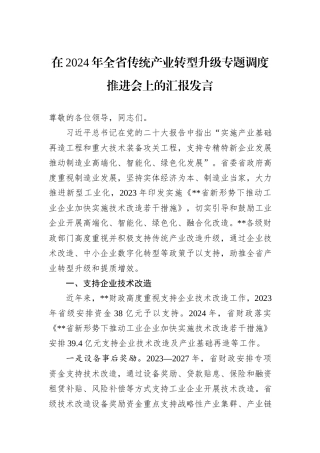 在2024年全省传统产业转型升级专题调度推进会上的汇报发言