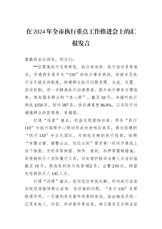 在2024年全市执行重点工作推进会上的汇报发言