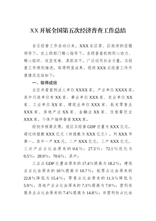 XX开展全国第五次经济普查工作总结