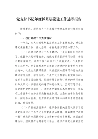 党支部书记年度抓基层党建工作述职报告