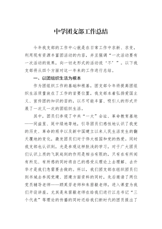 中学团支部工作总结
