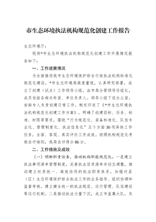 市生态环境执法机构规范化创建工作报告