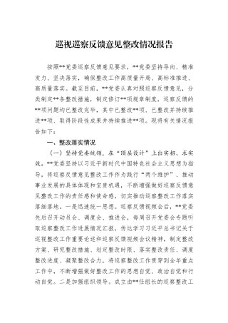 巡视巡察反馈意见整改情况报告