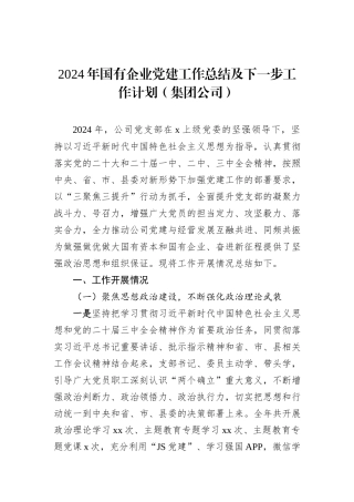 2024年国有企业党建工作总结及下一步工作计划（集团公司）