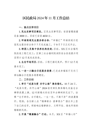 区民政局2024年11月工作总结