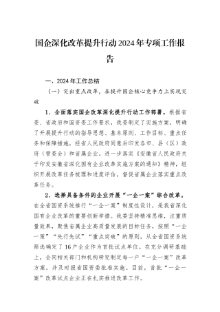 国企深化改革提升行动2024年专项工作报告