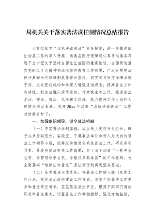 局机关关于落实普法责任制情况总结报告