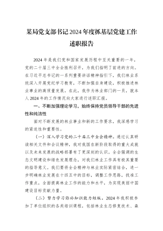某局党支部书记2024年度抓基层党建工作述职报告