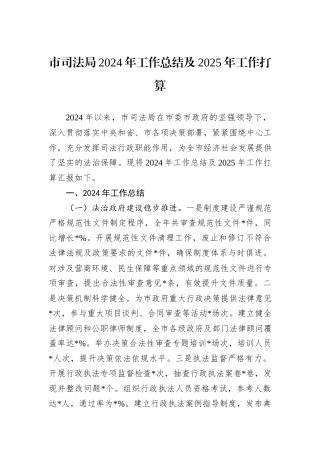 市司法局2024年工作总结及2025年工作打算