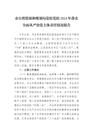 市自然资源和规划局党组党组2024年落实全面从严治党主体责任情况报告