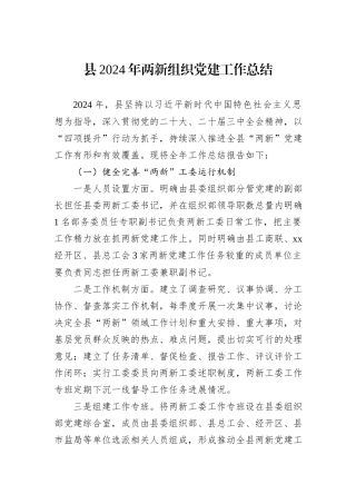县2024年两新组织党建工作总结