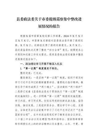 县委政法委关于市委提级巡察集中整改进展情况的报告