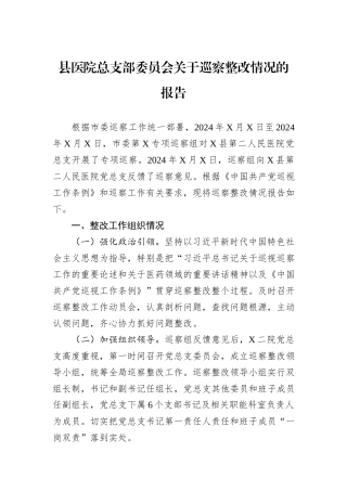 县医院总支部委员会关于巡察整改情况的报告