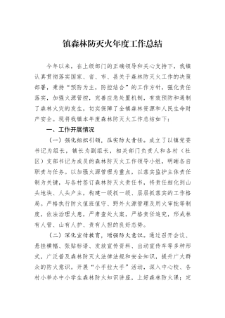 镇森林防灭火年度工作总结