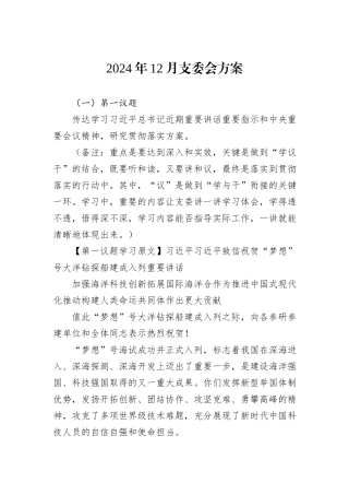 2024年12月支委会方案