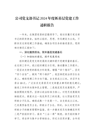 公司党支部书记2024年度抓基层党建工作述职报告