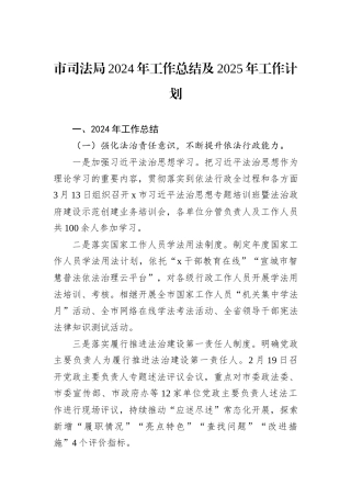 市司法局2024年工作总结及2025年工作计划