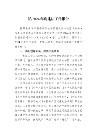 镇2024年度述法工作报告