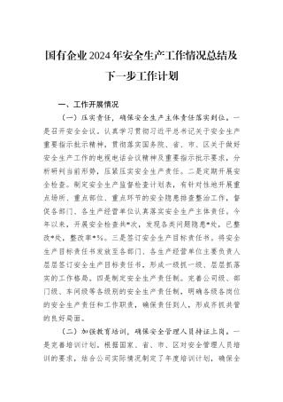 国有企业2024年安全生产工作情况总结及下一步工作计划