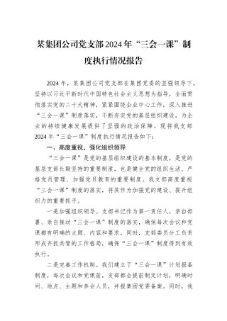 某集团公司党支部2024年“三会一课”制度执行情况报告