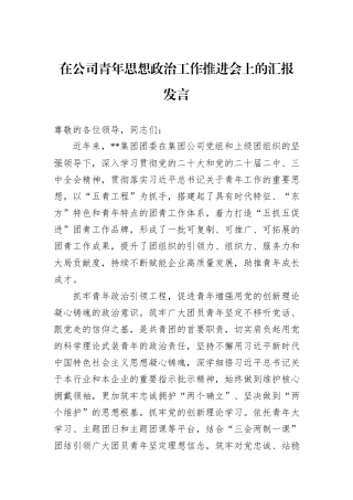 在公司青年思想政治工作推进会上的汇报发言