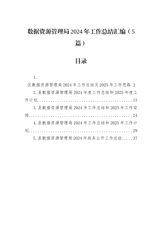 数据资源管理局2024年工作总结汇编（5篇）