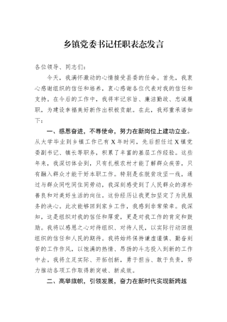 乡镇党委书记任职表态发言