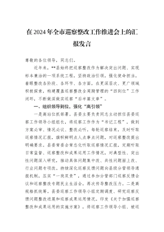 在2024年全市巡察整改工作推进会上的汇报发言