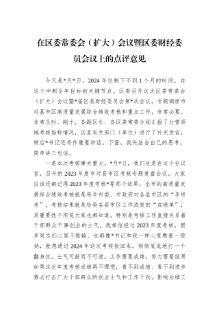 在区委常委会（扩大）会议暨区委财经委员会议上的点评意见