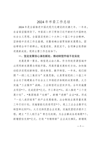 2024年市委工作总结（2）