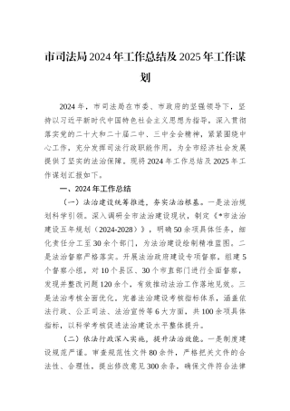 市司法局2024年工作总结及2025年工作谋划