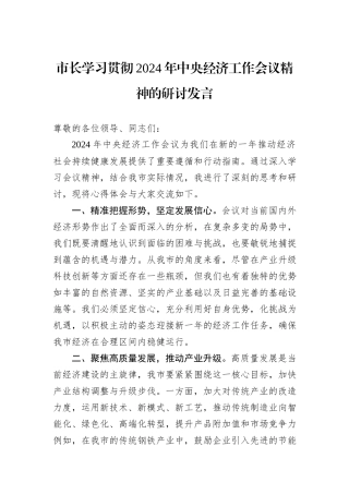 市长学习贯彻2024年中央经济工作会议精神的研讨发言