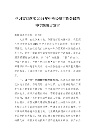 学习贯彻落实2024年中央经济工作会议精神专题研讨发言