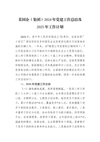 某国企（集团）2024年党建工作总结及2025年工作计划