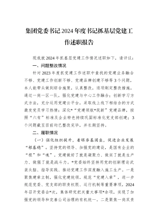 集团党委书记2024年度书记抓基层党建工作述职报告