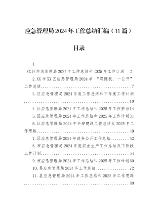 应急管理局2024年工作总结汇编（11篇）
