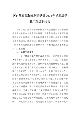 区自然资源和规划局党组2024年抓基层党建工作述职报告
