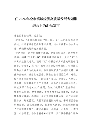 在2024年全市镇域经济高质量发展专题推进会上的汇报发言