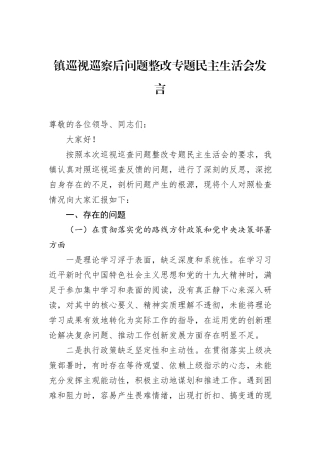 镇巡视巡察后问题整改专题民主生活会发言
