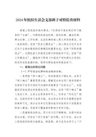 2024年组织生活会支部班子对照检查材料