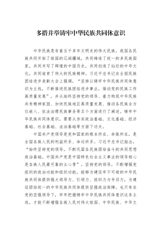 多措并举铸牢中华民族共同体意识