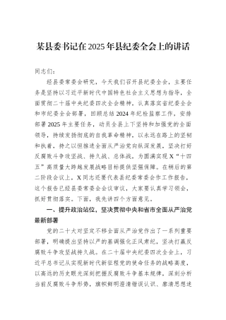 某县委书记在2025年县纪委全会上的讲话