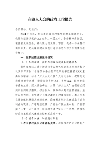 在镇人大会的政府工作报告