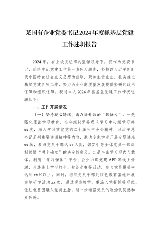 某国有企业党委书记2024年度抓基层党建工作述职报告