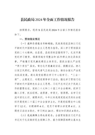 县民政局2024年全面工作情况报告