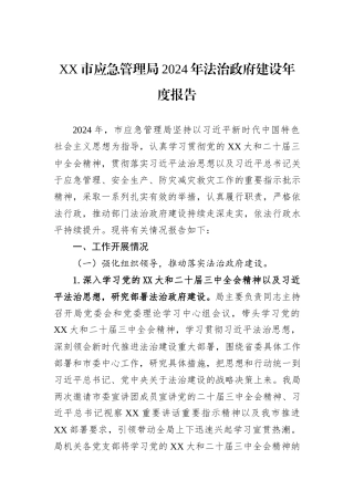 XX市应急管理局2024年法治政府建设年度报告