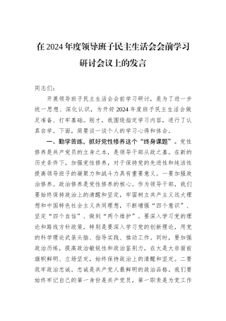 在2024年度领导班子民主生活会会前学习研讨会议上的发言