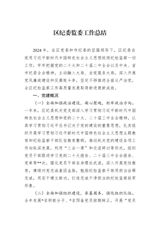 区纪委监委工作总结