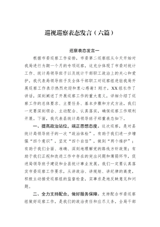 巡视巡察表态发言（六篇）
