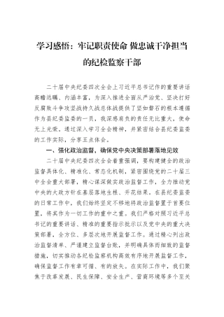 学习感悟：牢记职责使命+做忠诚干净担当的纪检监察干部
